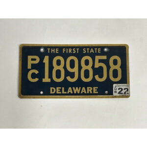 USA Kentekenplaat - Delaware (Flat)