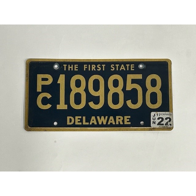 USA Kentekenplaat - Delaware (Flat)