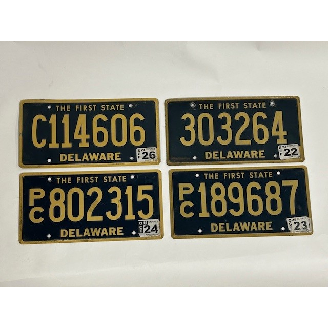 USA Kentekenplaat - Delaware (Flat) - Afbeelding 2