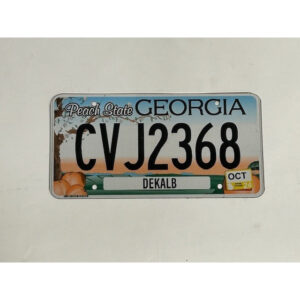 USA Kentekenplaat - Georgia Peach State (Flat+County)