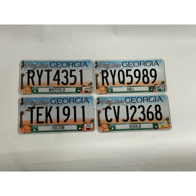 USA Kentekenplaat - Georgia Peach State (Flat+County) - Afbeelding 2